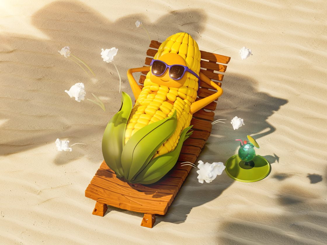 Corn on summer